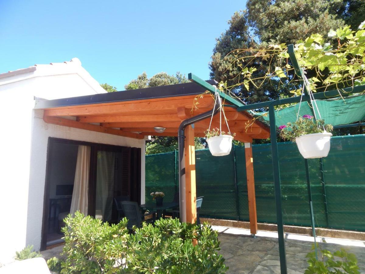 Apartman Duje Petrcane Esterno foto