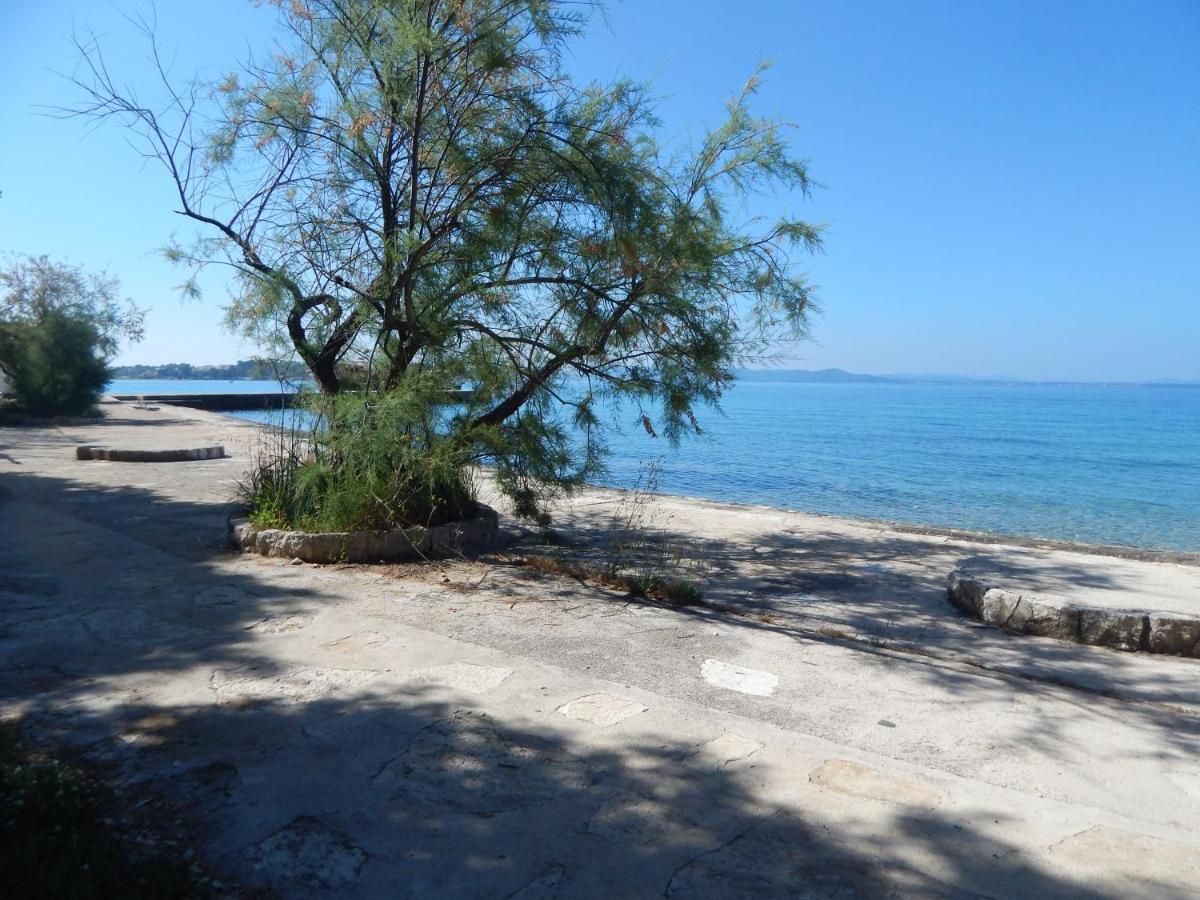 Apartman Duje Petrcane Esterno foto