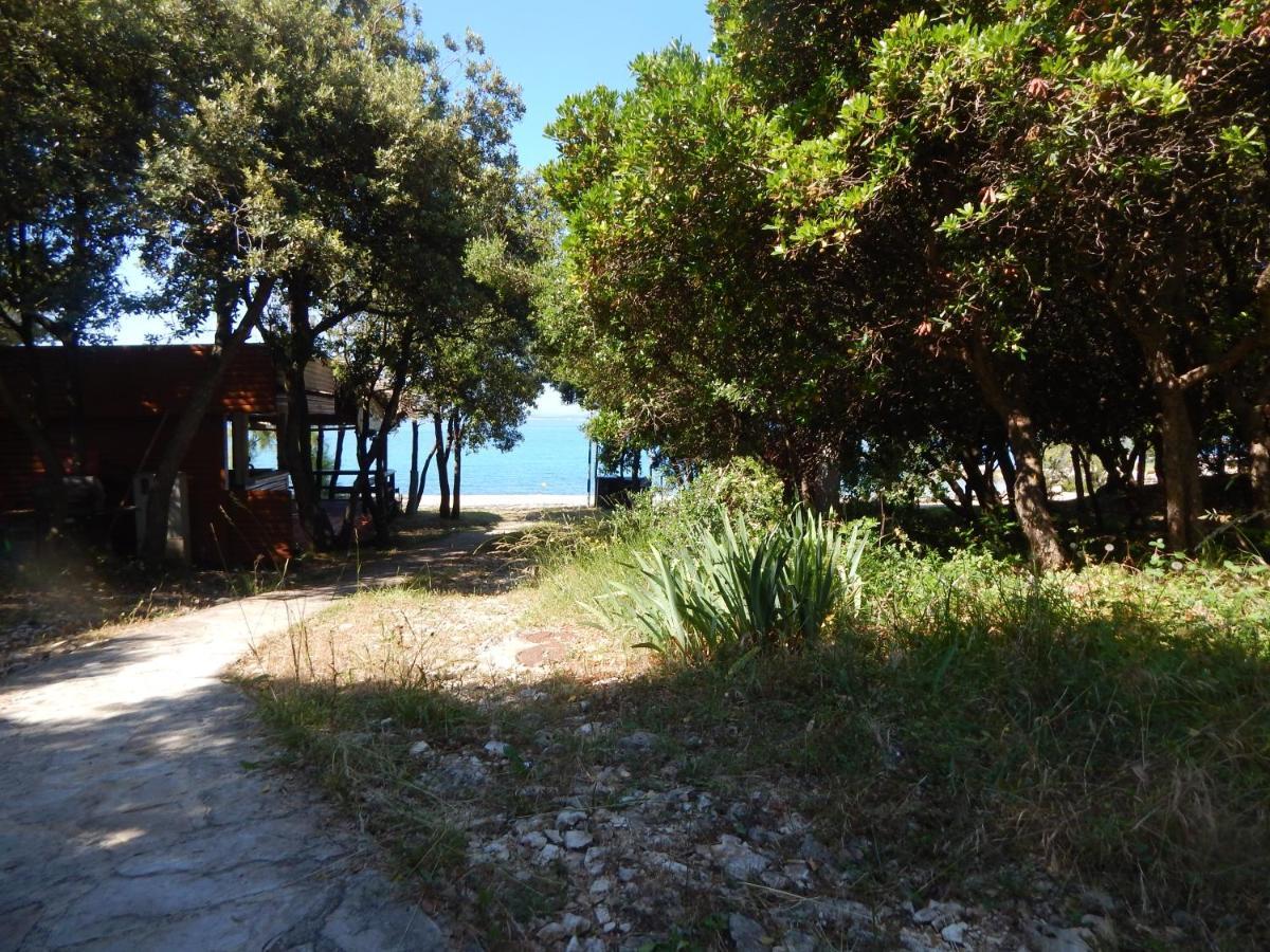 Apartman Duje Petrcane Esterno foto