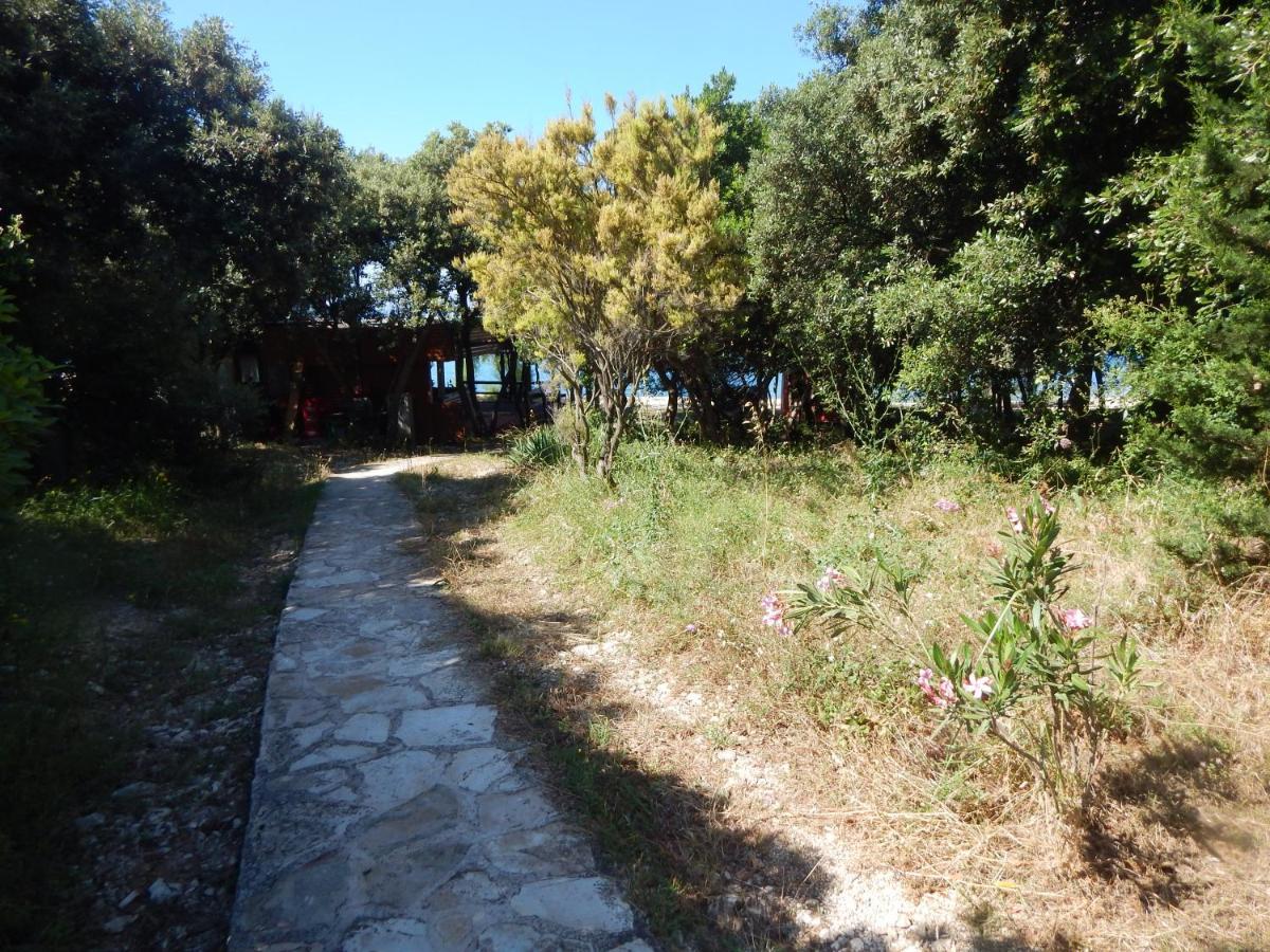 Apartman Duje Petrcane Esterno foto